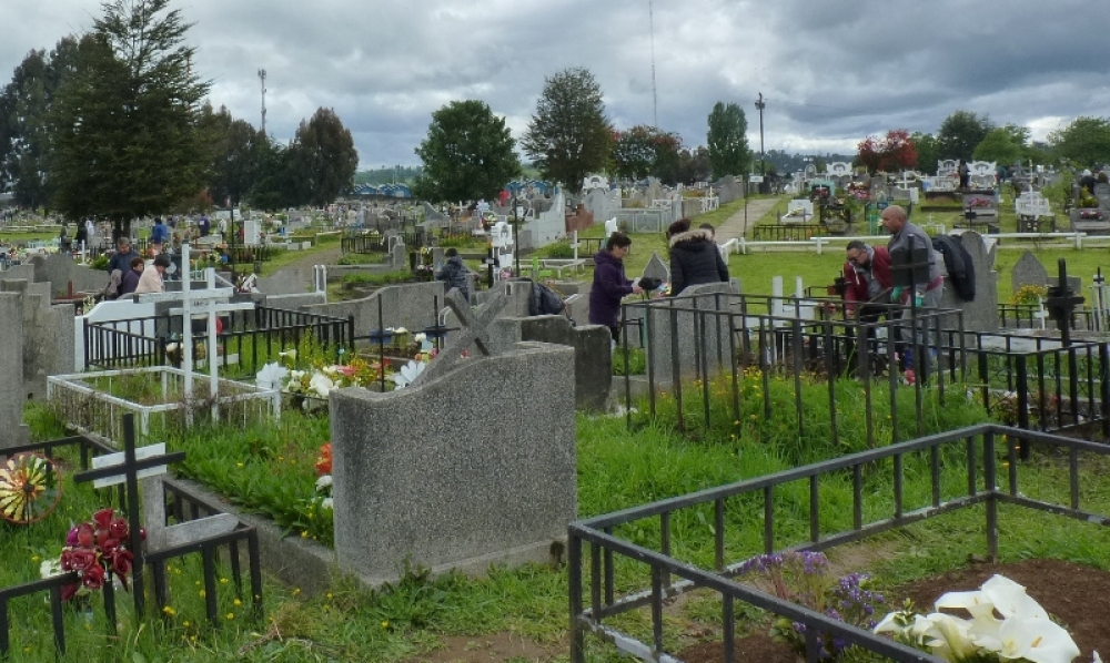 5dbd6dfc6ff55_image_Gale_20191102_4_52.jpg